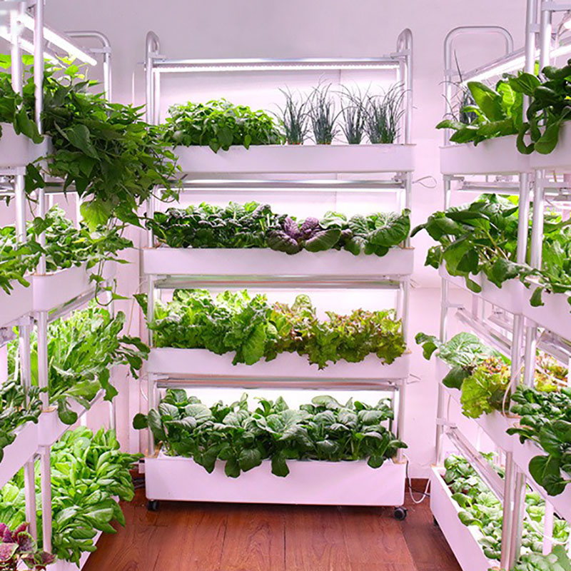 Smart Garden Vertical Planter - System uprawy hydroponiki Pionowy Inteligentny Uprawa