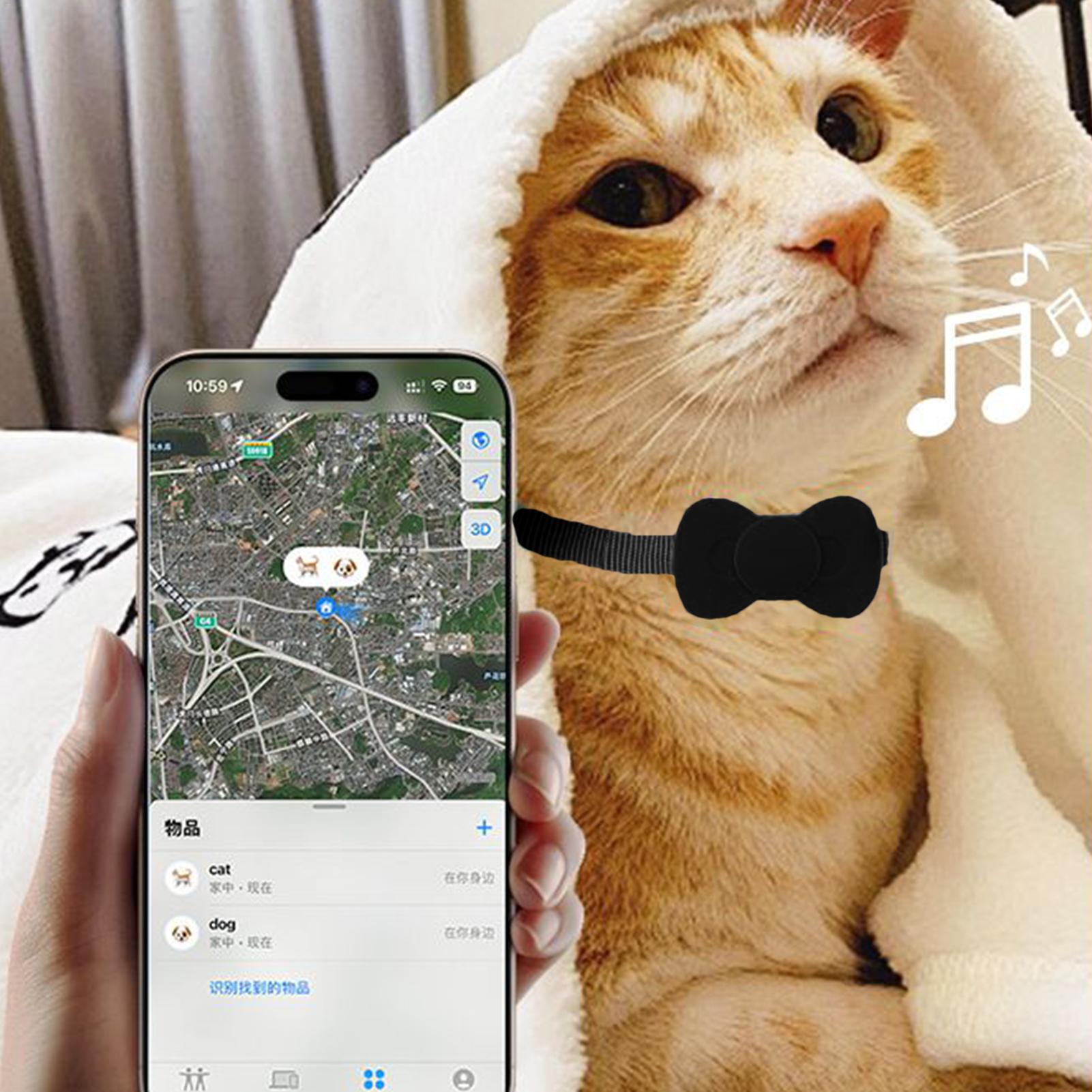 Obroża GPS dla kotów, lokaliza – Smart Garden Devices recenzja i cena