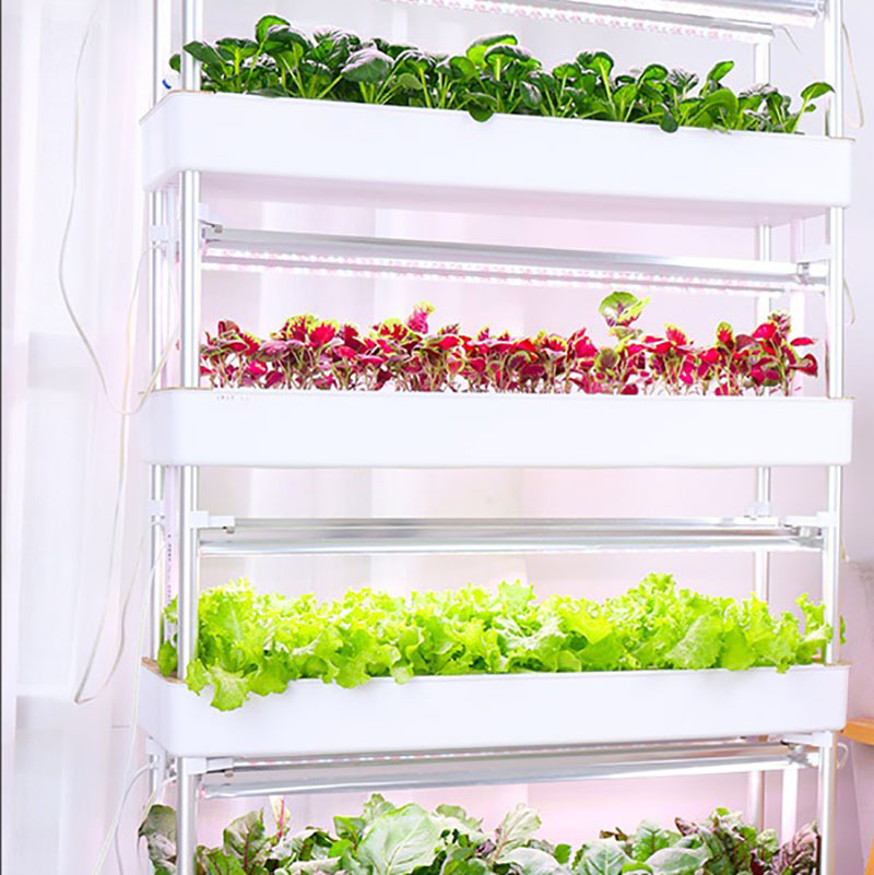 System uprawy hydroponiki Pion – Smart Garden Vertical Planter recenzja i cena