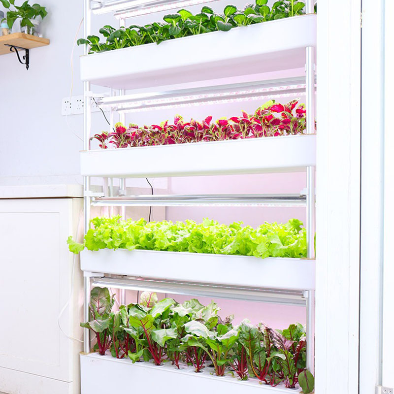 System uprawy hydroponiki Pion – Smart Garden Vertical Planter recenzja i cena