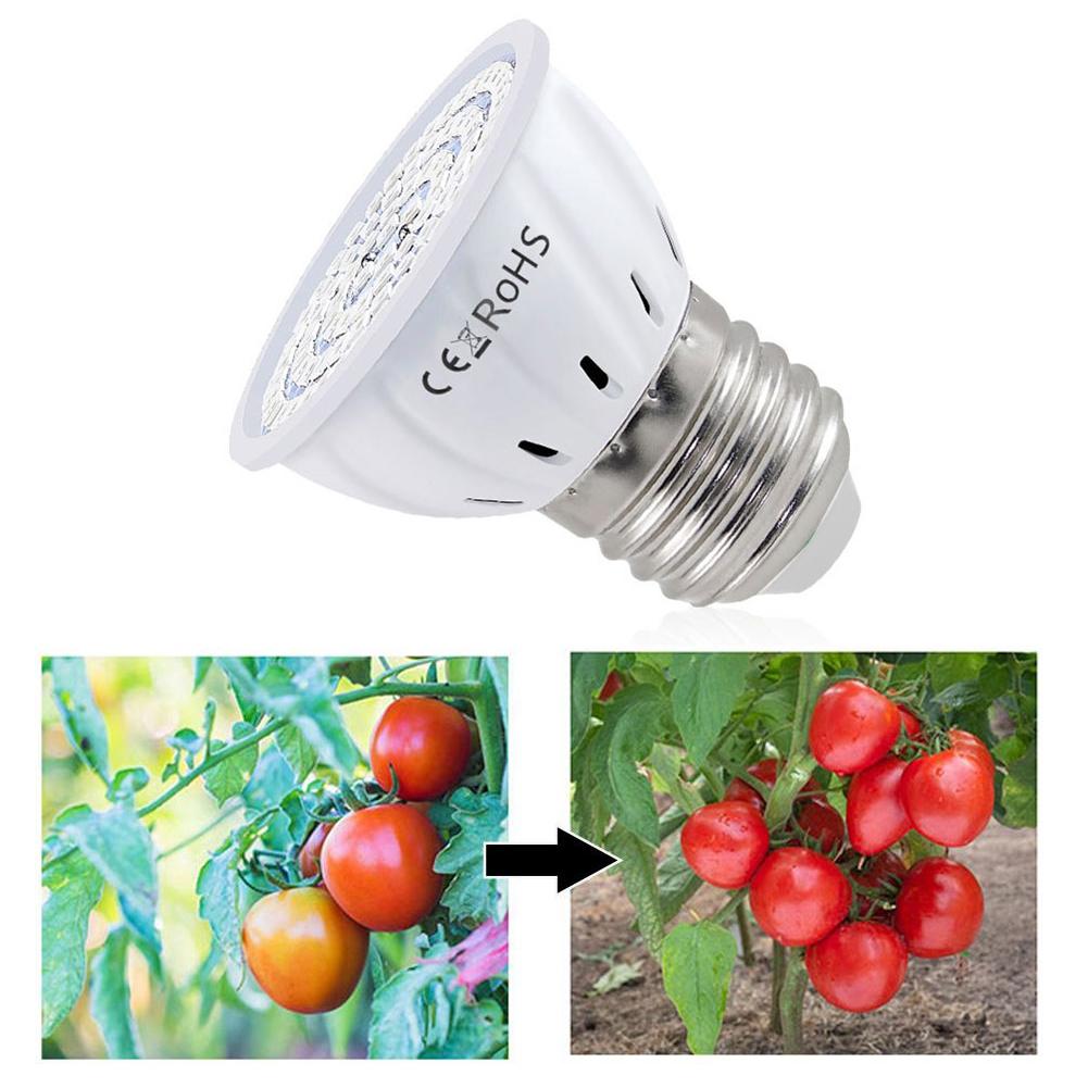Żarówka LED do uprawy roślin E – Plant Grow Light Full Spectrum recenzja i cena
