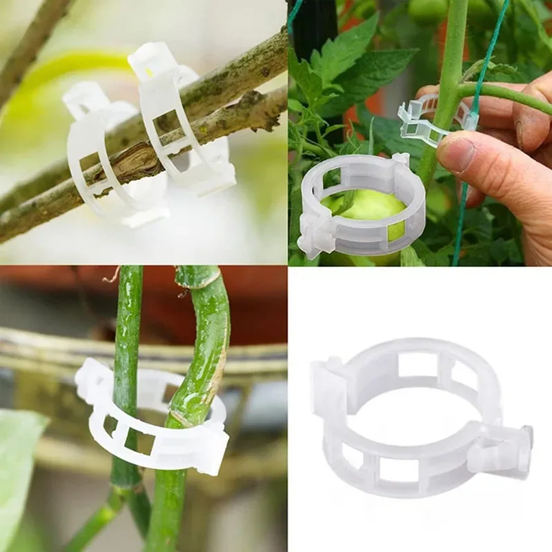 100 SZTUK Klipsy do mocowania  – Smart Garden Hub recenzja i cena