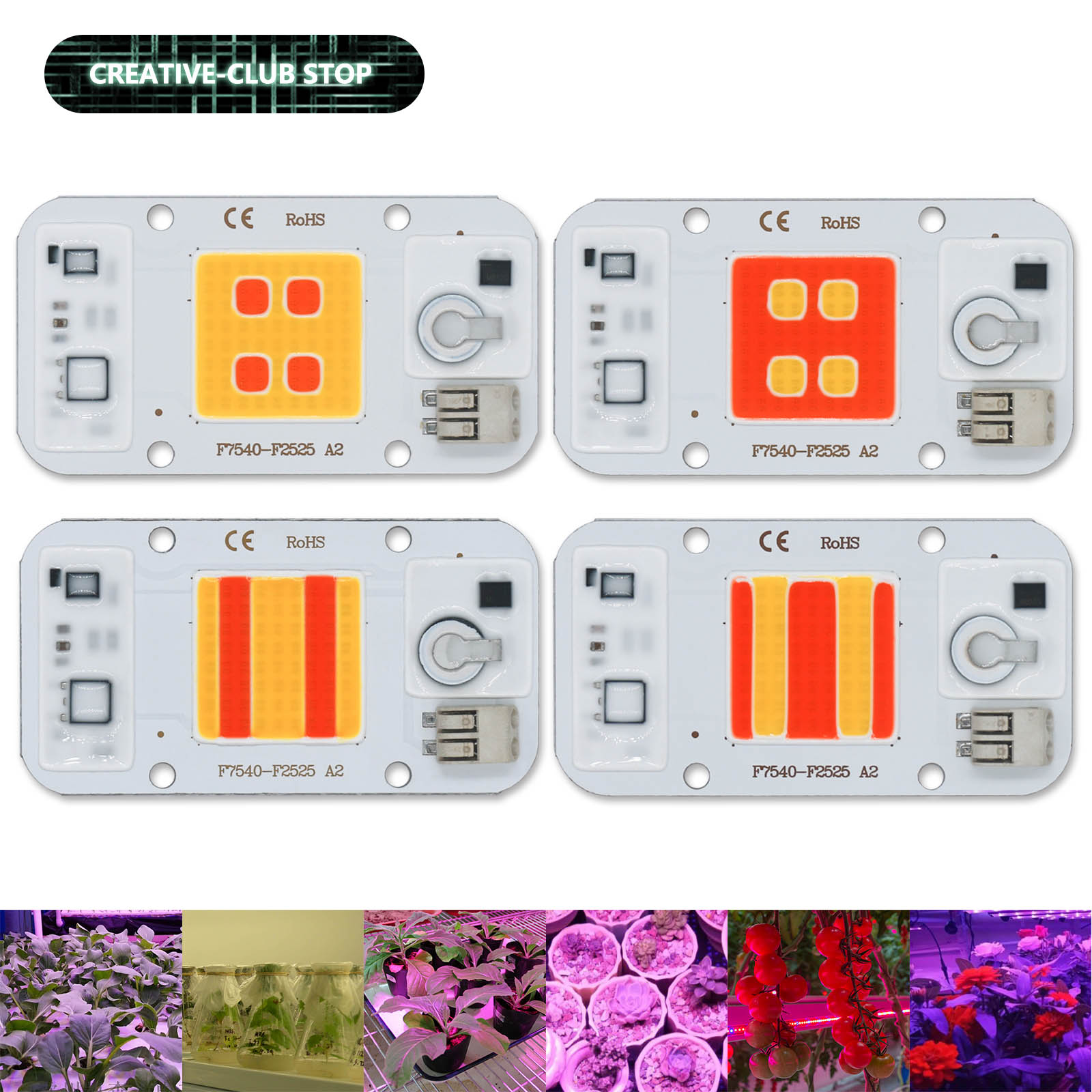 50W LED COB Chip Welding Free  – Plant Grow Light Full Spectrum recenzja i cena