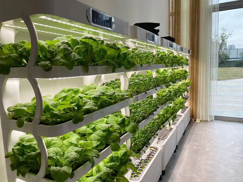 Inteligentna lampa LED do upra – Smart Garden Vertical Planter recenzja i cena