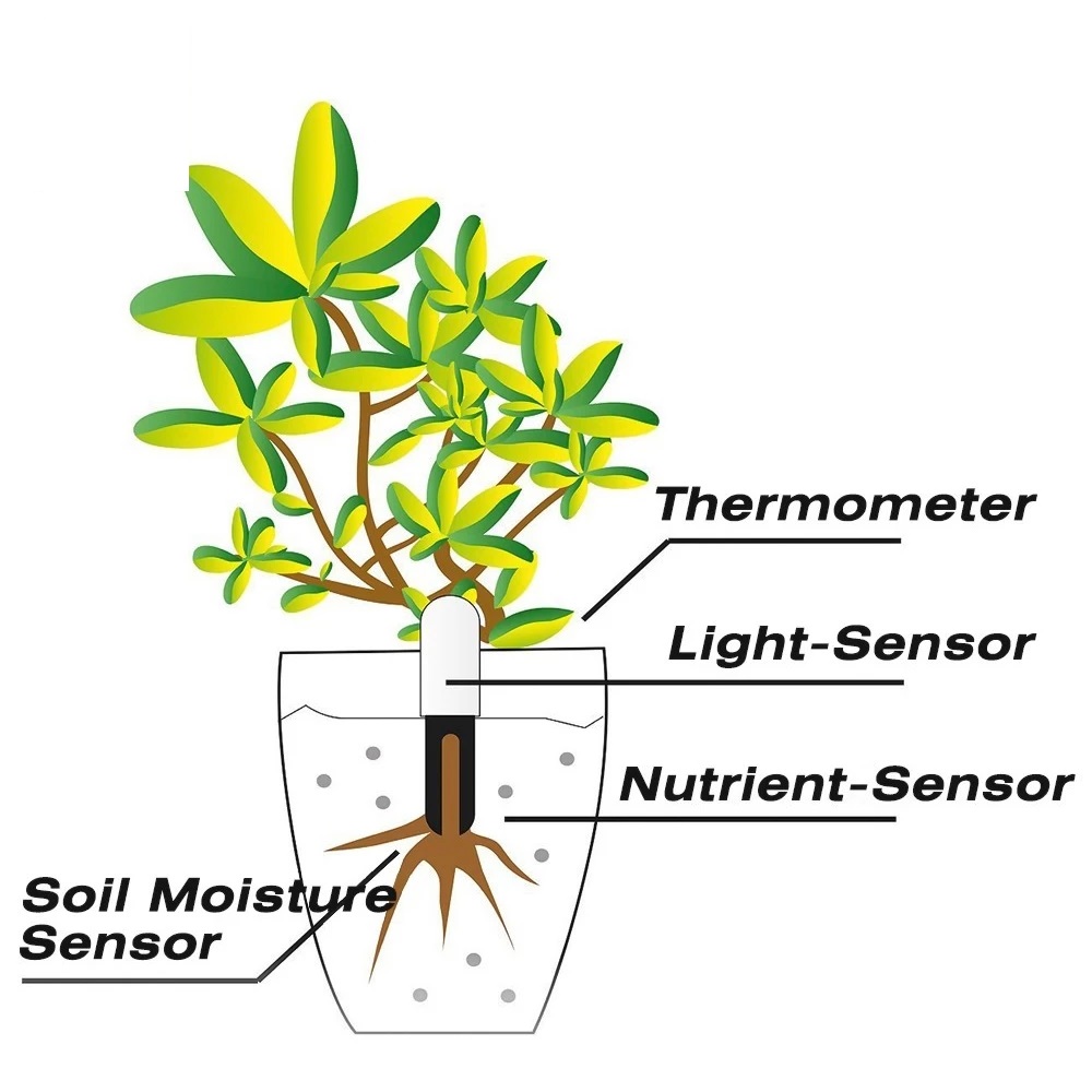 HHCC Flower Monitor Flora Gard – Smart Garden Hub recenzja i cena