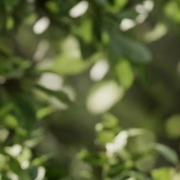Przewodowy inteligentny czujni – Smart Garden Devices recenzja i cena
