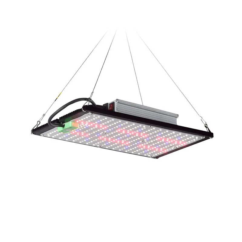 Światło LED Quantum-Board do u – Plant Grow Light Full Spectrum recenzja i cena